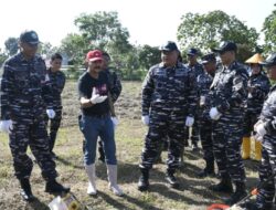 TNI AL Gelar Penanaman Bibit Kedelai di Kompi Produksi Lanal Banjarmasin Melalui Operasi Trisila 26, Perkuat Ketahanan Pangan